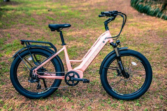 Eunorau Ebike Review
