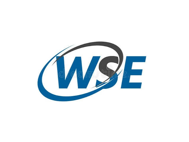 WSELBags Review