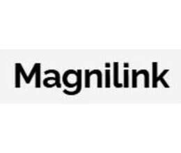 Magnilink Review