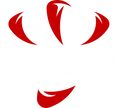 Gudsen Moza Review